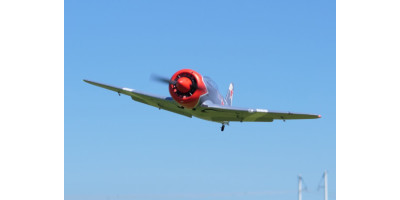 Yak-11 Steadfast Single-Seat 6S Racer EPO 1450MM PNP Yak-11 Steadfast Single-Seat 6S Racer EPO 1450MM PNP