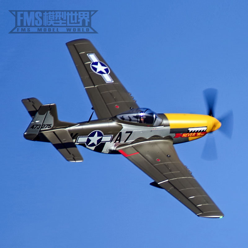FMS P-51D Mustang 1500MM "Never Miss" Warbird PNP - Image 20