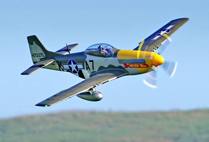 FMS P-51D Mustang 1500MM "Never Miss" Warbird PNP - Image 19