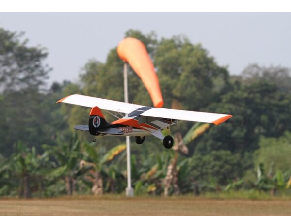 Arrows HUSKY 1.8M ULTIMATE 4S-6S with Gyro PNP